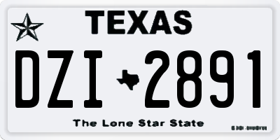 TX license plate DZI2891