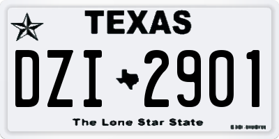 TX license plate DZI2901