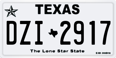 TX license plate DZI2917