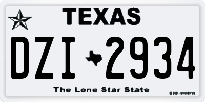 TX license plate DZI2934