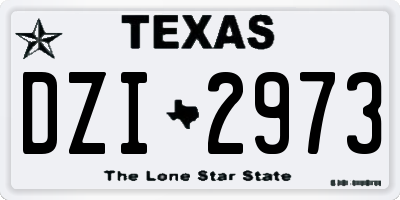 TX license plate DZI2973