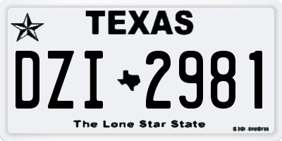 TX license plate DZI2981