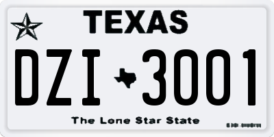 TX license plate DZI3001