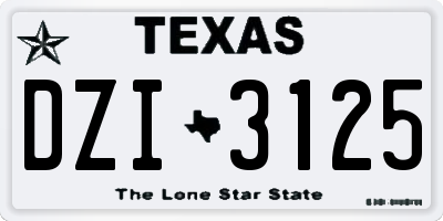 TX license plate DZI3125