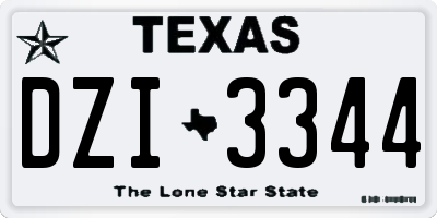 TX license plate DZI3344