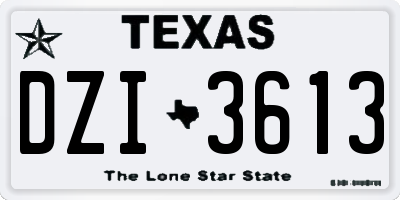 TX license plate DZI3613