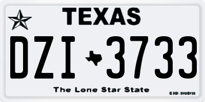 TX license plate DZI3733