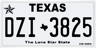 TX license plate DZI3825