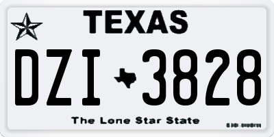 TX license plate DZI3828