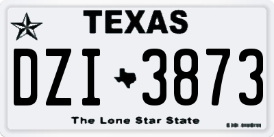 TX license plate DZI3873