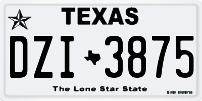 TX license plate DZI3875