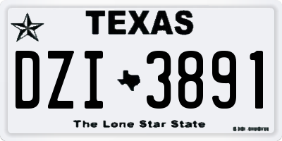 TX license plate DZI3891