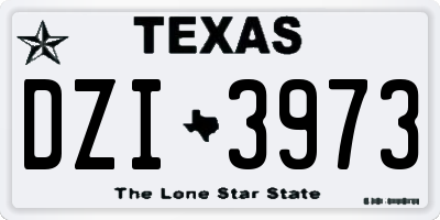 TX license plate DZI3973