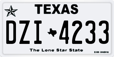 TX license plate DZI4233