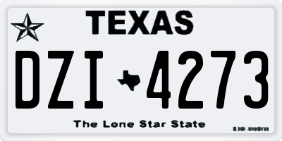 TX license plate DZI4273