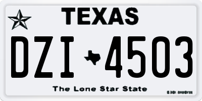 TX license plate DZI4503