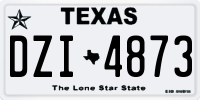 TX license plate DZI4873