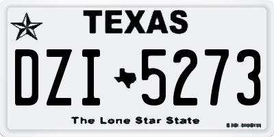 TX license plate DZI5273