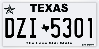 TX license plate DZI5301