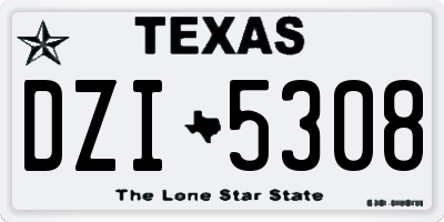 TX license plate DZI5308
