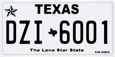 TX license plate DZI6001