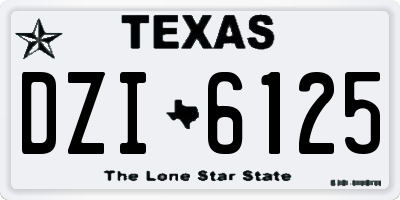 TX license plate DZI6125