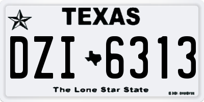 TX license plate DZI6313