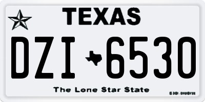 TX license plate DZI6530
