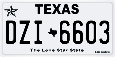 TX license plate DZI6603