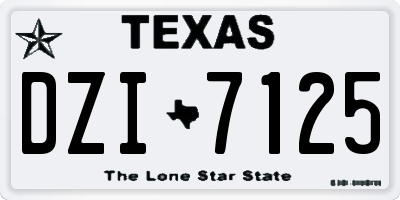 TX license plate DZI7125