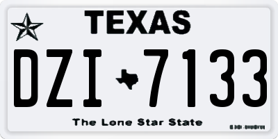 TX license plate DZI7133