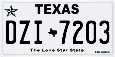 TX license plate DZI7203