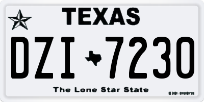 TX license plate DZI7230