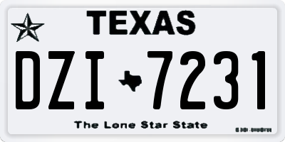 TX license plate DZI7231