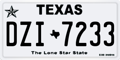 TX license plate DZI7233