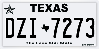 TX license plate DZI7273