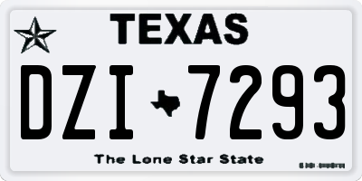 TX license plate DZI7293