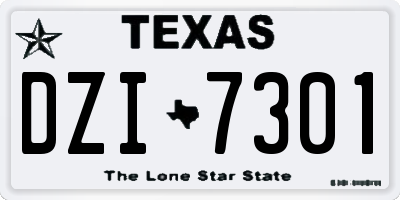 TX license plate DZI7301