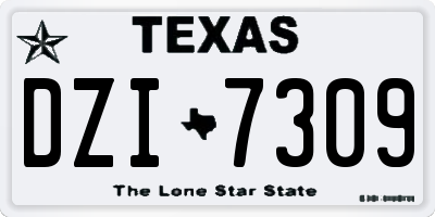 TX license plate DZI7309