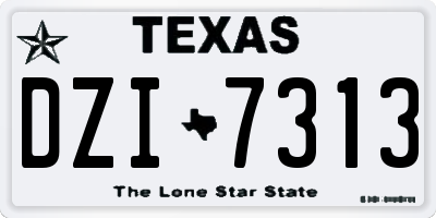 TX license plate DZI7313