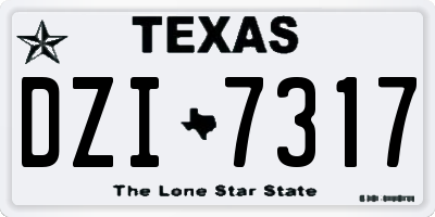 TX license plate DZI7317