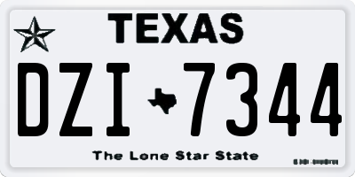 TX license plate DZI7344