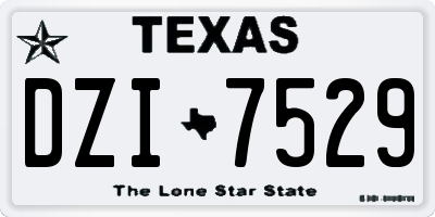 TX license plate DZI7529