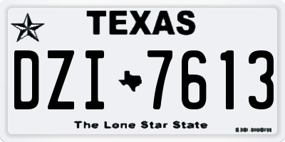 TX license plate DZI7613