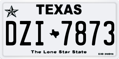 TX license plate DZI7873