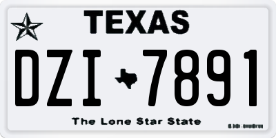 TX license plate DZI7891