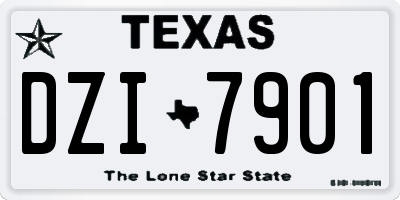 TX license plate DZI7901