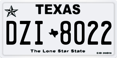 TX license plate DZI8022