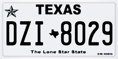 TX license plate DZI8029