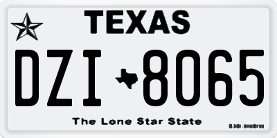 TX license plate DZI8065